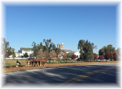 Amish farm 11/4/15