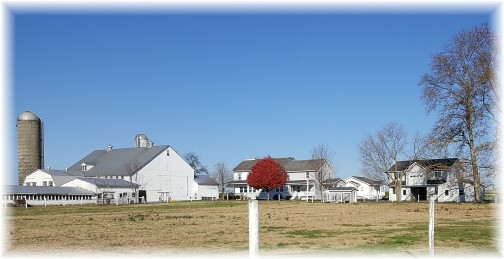 Amish farm 11/17/16 (Click to enlarge)
