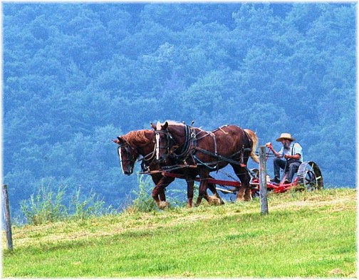 Amish farmer in Belleville, PA (Photo by Greg Schneider)