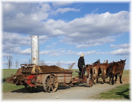 Amish field work 3/2/17