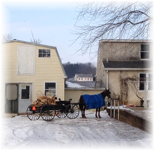 Firewood wagon on Amish farm in southern Lancaster County PA 2/27/15