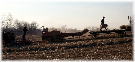 Photo of Amish baling corn fodder
