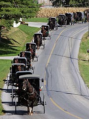 Amish funeral procession