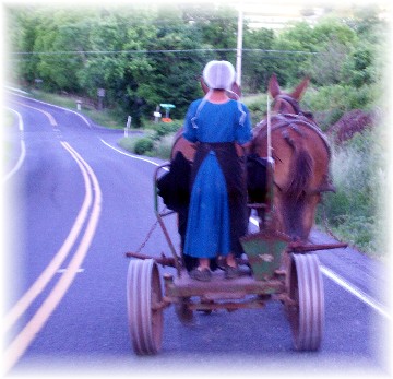 Amish girl with team on E-town Road