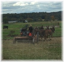 Amish harvest 10/16/15