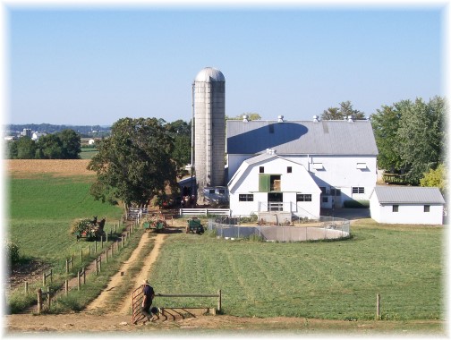 Amish harvest scene (Mike Weber)