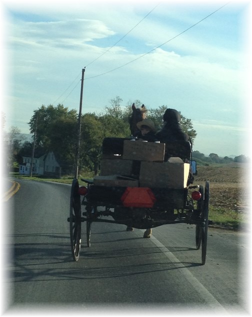 Amish hauling in Lancaster County PA 10/14/15