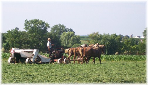 Amish hay harvest 7/13/12