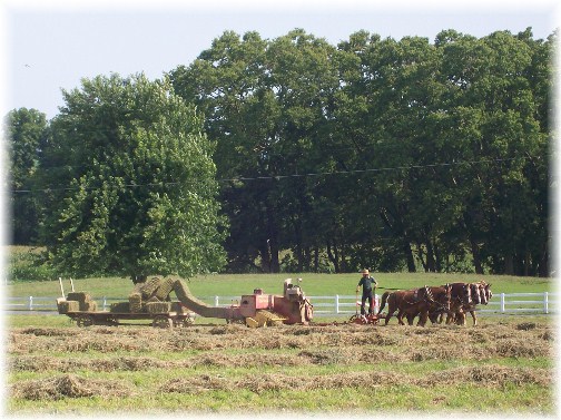 Amish hay harvest on Kraybill Church Road 7/26/12