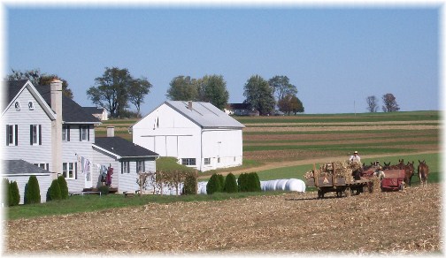 Amish hay harvest in Lancaster County, PA 10/25/11
