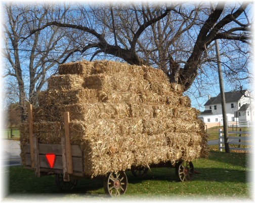 Amish hay wagon, Lancaster County PA 11/14/13
