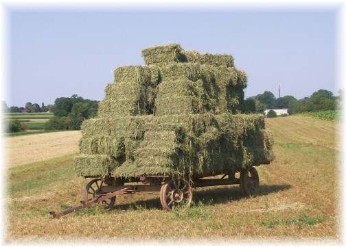 Amish hay wagon 7/13/12