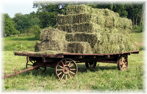 Amish hay wagon in Lancaster County PA
