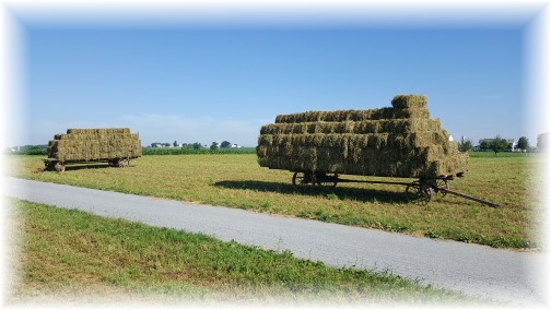 Amish hay wagons, Lancaster County, PA 6/30/16