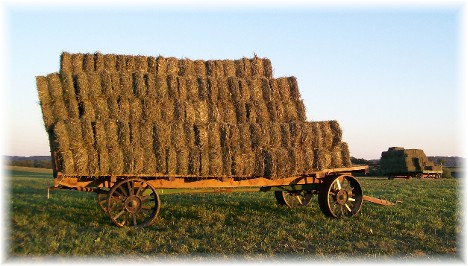 Lancaster County Amish hay wagons