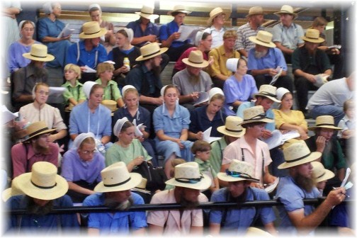 Amish horse auction (photo by Lee Smucker)