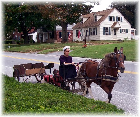 Amish mini train!