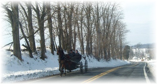 Amish youth on way to youth meeting