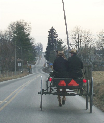Amish open buggy