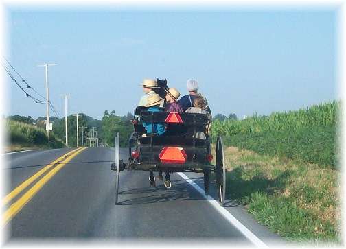 Amish open cart