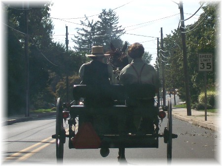 Amish open cart photo