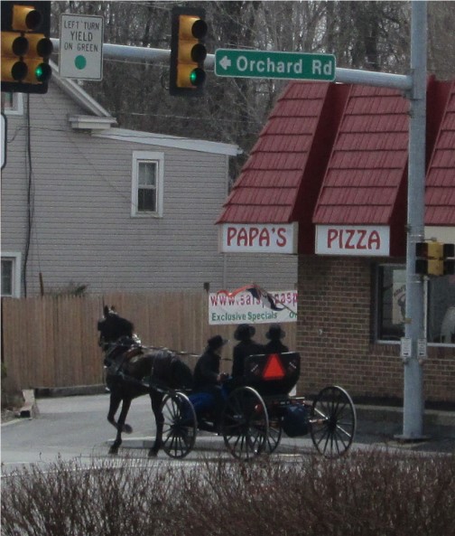 Amish open cart buggy, Mount Joy, PA 3/16/14