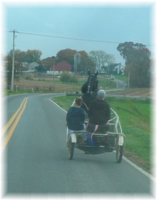 Amish open cart 11/2/13