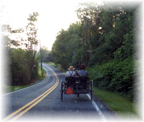 Amish open cart on Donegal Springs Road 6/17/14
