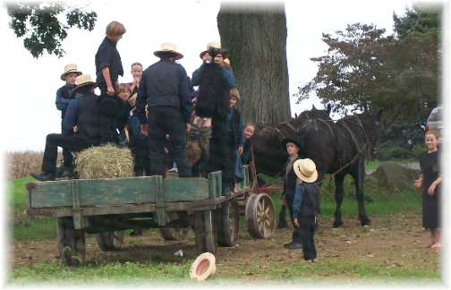 Amish watching parachutes from wagon 9/25/11