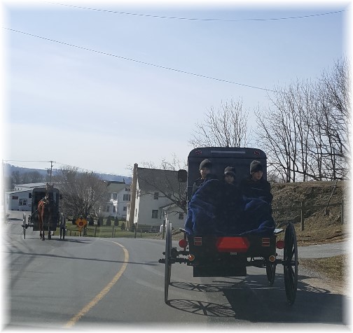 Amish boys in back of pickup near White Horse, PA 3/3/16 (Click to enlarge)