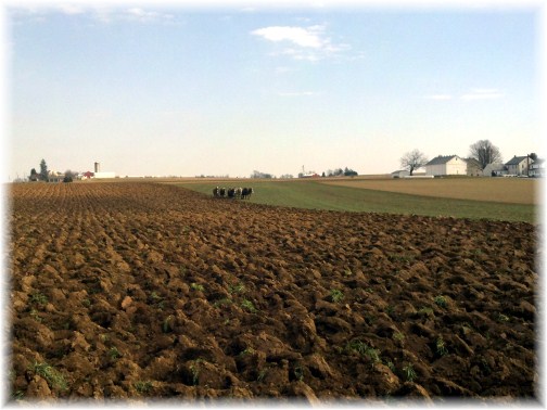 Amish team plowing field near Mount Joy, PA 2/18/12