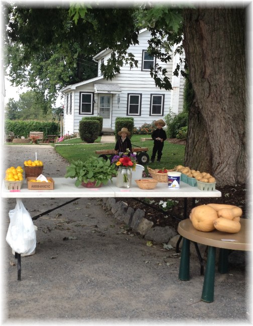 Amish roadside stand with children, Lancaster County, PA 10/2/14