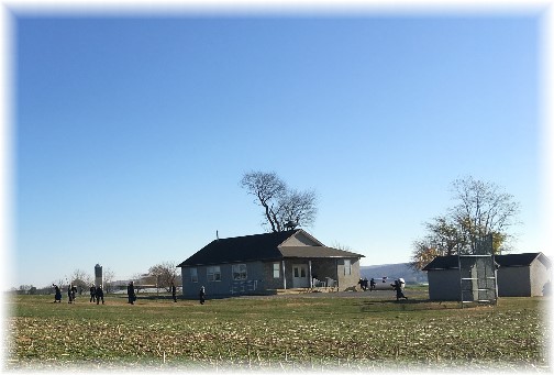 Amish school recess 11/17/16 (Click to enlarge)