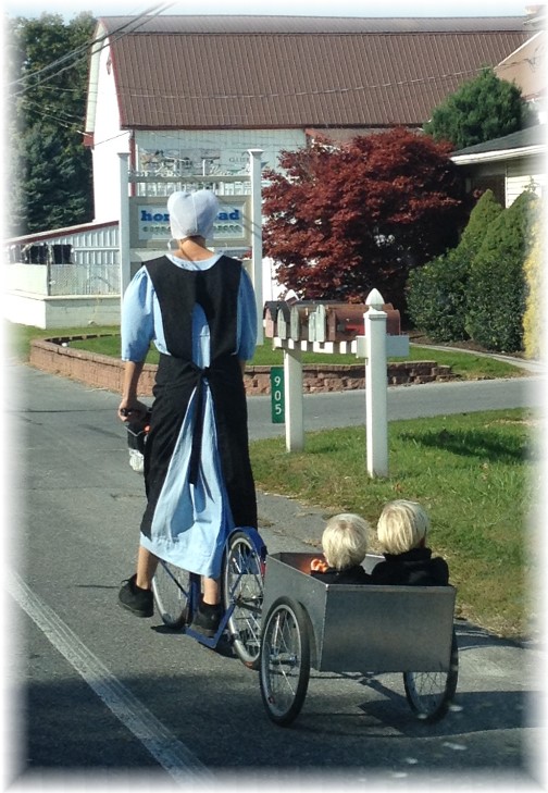 Amish mother and sons 10/21/15