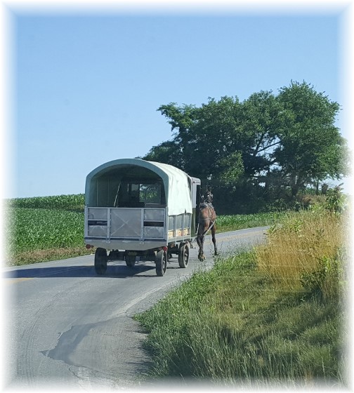 Amish semi, Lancaster County, PA 6/30/16