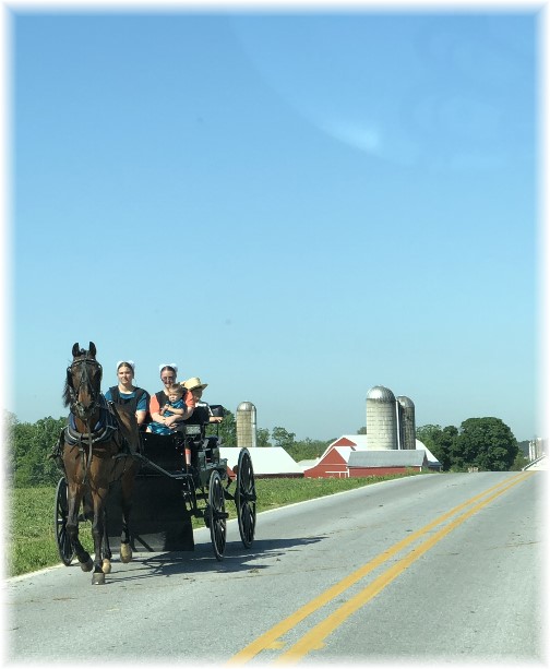 Amish spring wagon, Lancaster County, PA 5/24/18