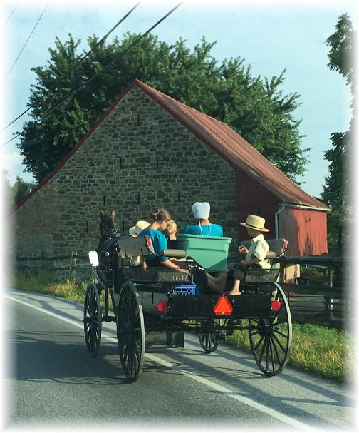 Amish family on spring wagon 7/13/17