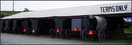 Amish teams at farmer's market