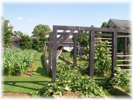 Amish garden Lancaster, PA