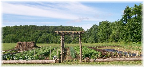 Amish garden New York