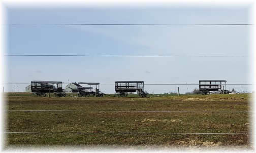 Amish wedding wagons near Intercourse, PA 3/3/16 (Click to enlarge)