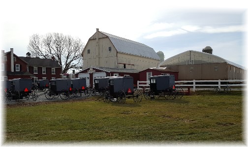 Amish wedding parking near Intercourse, PA 3/3/16 (Click to enlarge)
