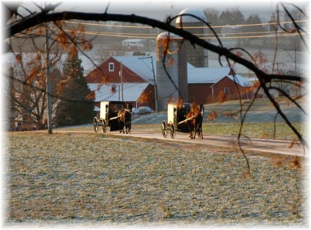 Amish winter scene (Doris High)