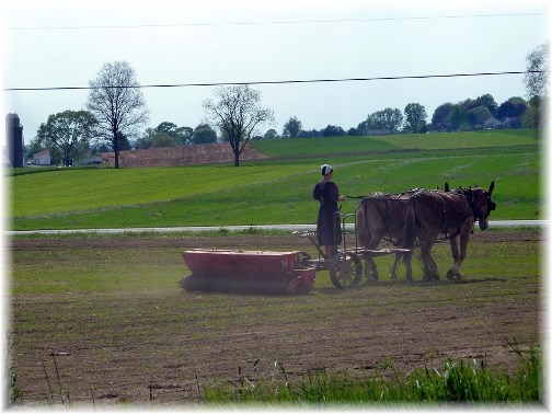 Amish woman farming in Lancaster County PA (photo by Nick Nichols)