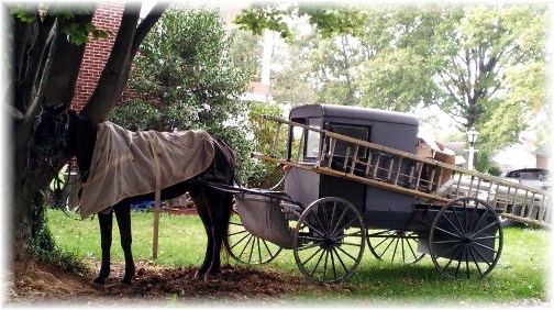 Amish work buggy