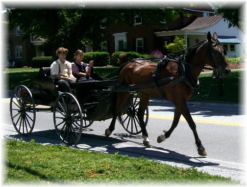 Amish young couple going to town 7/14/11