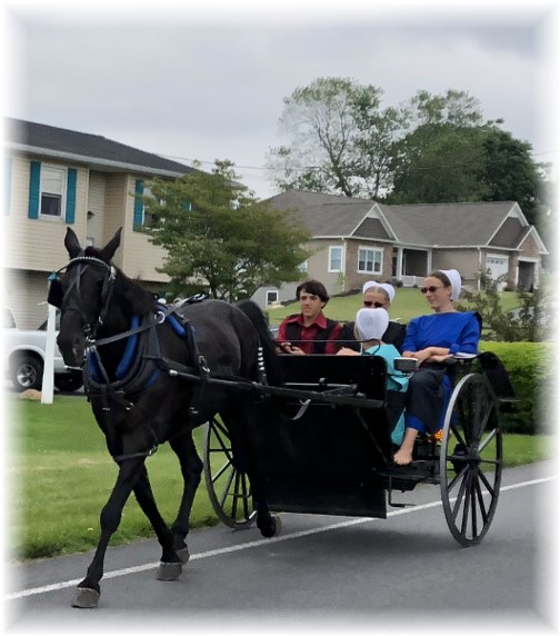 Amish youth going to youth group 5/27/18