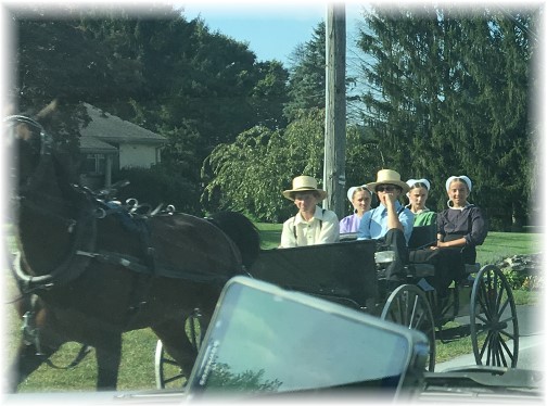 Amish youth in spring wagon 9/25/17