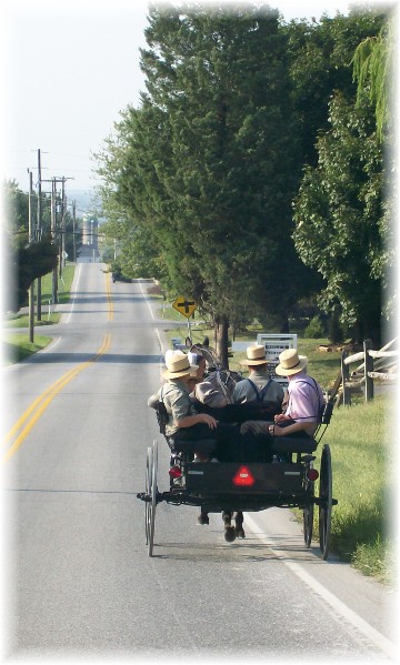 Amish youth in open cart, Lancaster County, PA 9/2/10