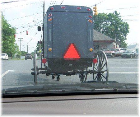 Back of Amish buggy